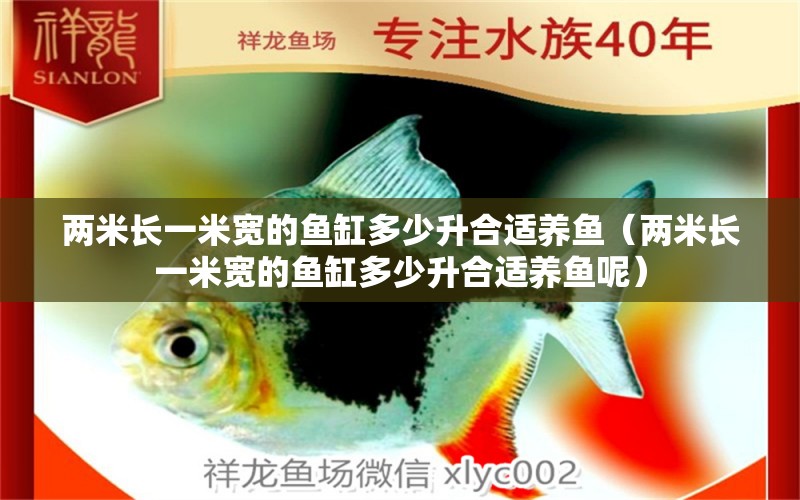 兩米長一米寬的魚缸多少升合適養(yǎng)魚（兩米長一米寬的魚缸多少升合適養(yǎng)魚呢） 其他品牌魚缸