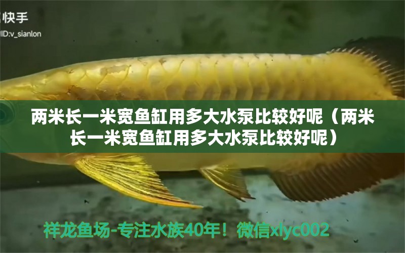 兩米長(zhǎng)一米寬魚缸用多大水泵比較好呢（兩米長(zhǎng)一米寬魚缸用多大水泵比較好呢）