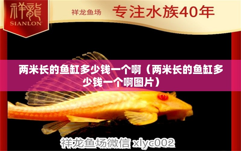 兩米長的魚缸多少錢一個啊（兩米長的魚缸多少錢一個啊圖片）