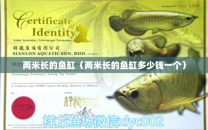 兩米長的魚缸（兩米長的魚缸多少錢一個） 魚缸百科