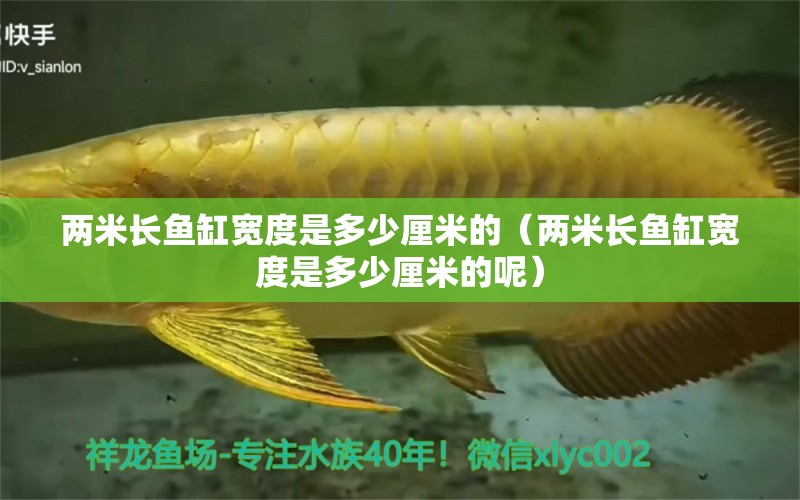 兩米長魚缸寬度是多少厘米的（兩米長魚缸寬度是多少厘米的呢） 其他品牌魚缸