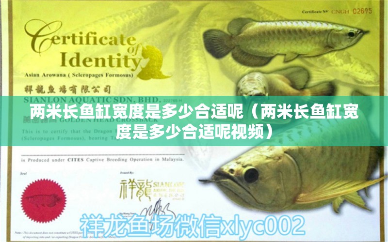 兩米長魚缸寬度是多少合適呢（兩米長魚缸寬度是多少合適呢視頻）