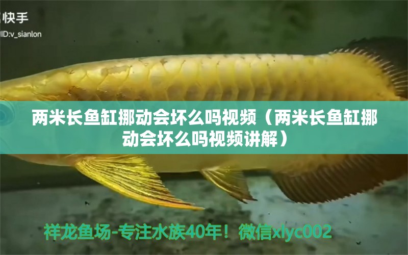 兩米長魚缸挪動(dòng)會(huì)壞么嗎視頻（兩米長魚缸挪動(dòng)會(huì)壞么嗎視頻講解） 其他品牌魚缸