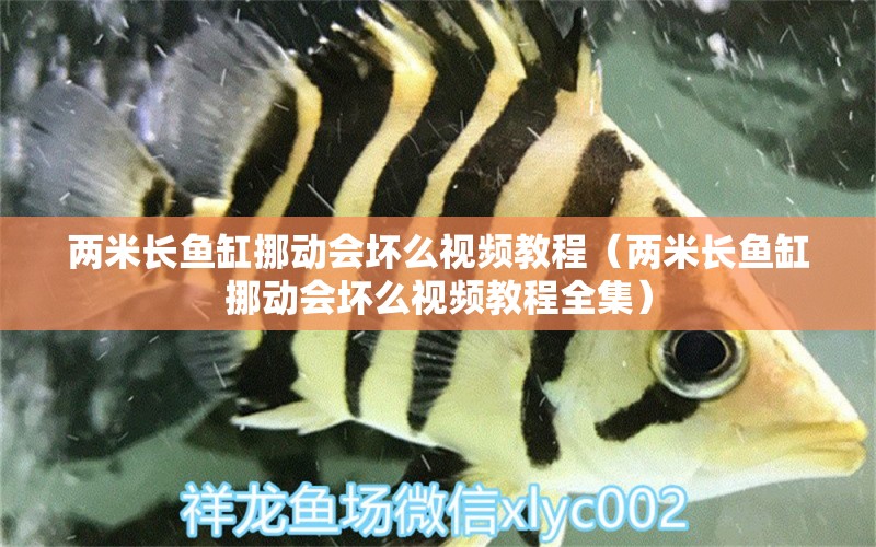 兩米長魚缸挪動會壞么視頻教程（兩米長魚缸挪動會壞么視頻教程全集）