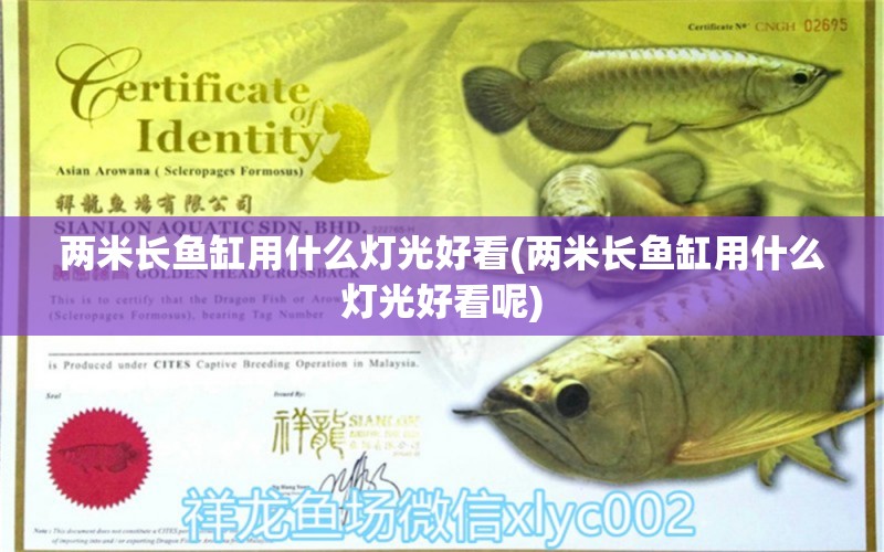 兩米長魚缸用什么燈光好看(兩米長魚缸用什么燈光好看呢) 斑馬鴨嘴魚