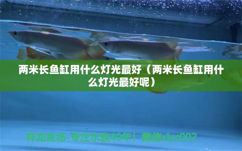 兩米長魚缸用什么燈光最好（兩米長魚缸用什么燈光最好呢） 其他品牌魚缸