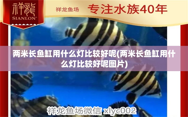 兩米長魚缸用什么燈比較好呢(兩米長魚缸用什么燈比較好呢圖片) 斑馬鴨嘴魚 第1張