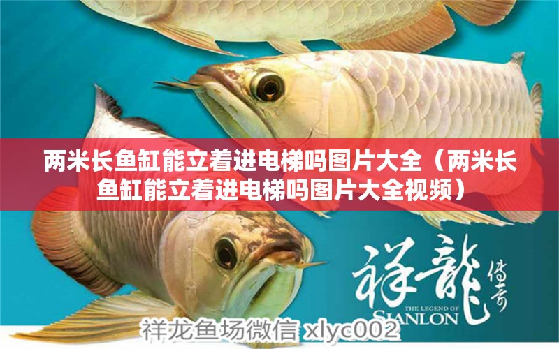 兩米長魚缸能立著進電梯嗎圖片大全（兩米長魚缸能立著進電梯嗎圖片大全視頻）