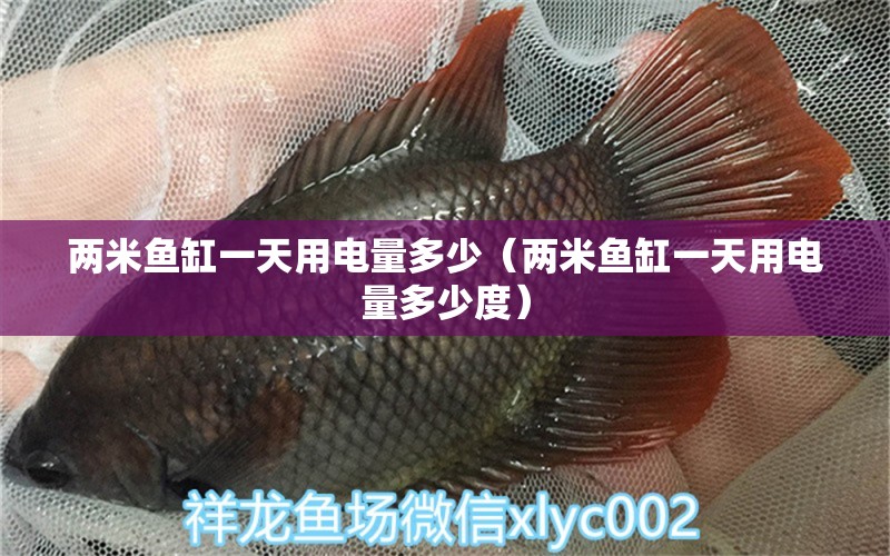 兩米魚缸一天用電量多少（兩米魚缸一天用電量多少度）