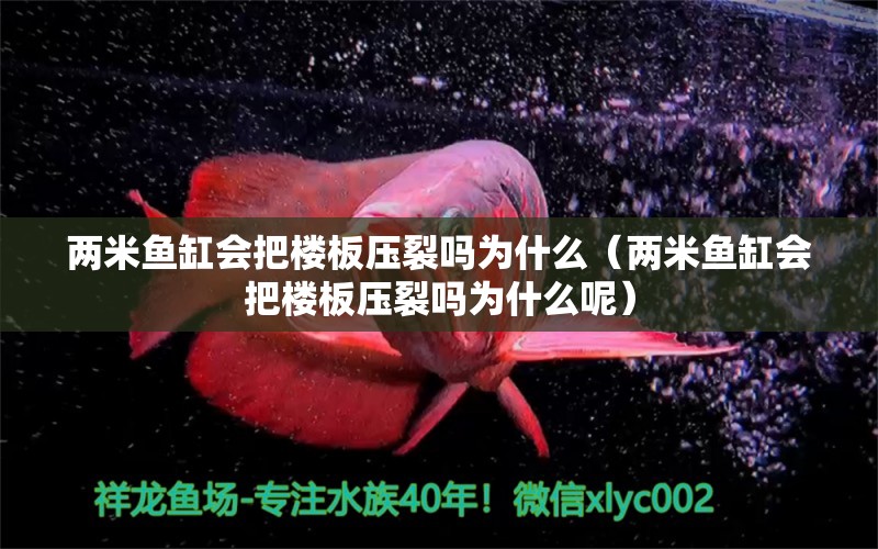 兩米魚缸會把樓板壓裂嗎為什么（兩米魚缸會把樓板壓裂嗎為什么呢）