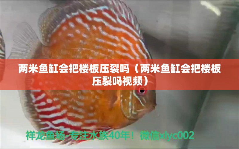 兩米魚缸會把樓板壓裂嗎（兩米魚缸會把樓板壓裂嗎視頻）