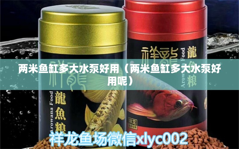 兩米魚(yú)缸多大水泵好用（兩米魚(yú)缸多大水泵好用呢） 其他品牌魚(yú)缸