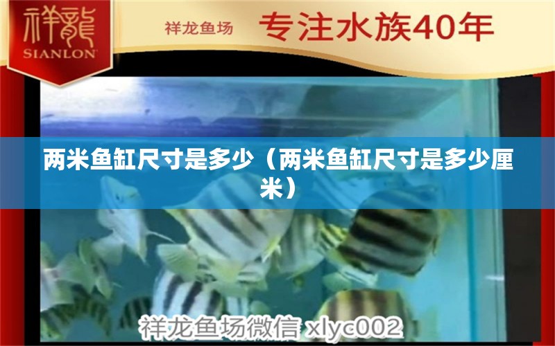 兩米魚缸尺寸是多少（兩米魚缸尺寸是多少厘米）