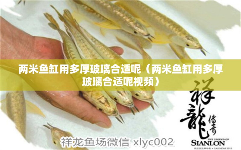 兩米魚缸用多厚玻璃合適呢（兩米魚缸用多厚玻璃合適呢視頻）