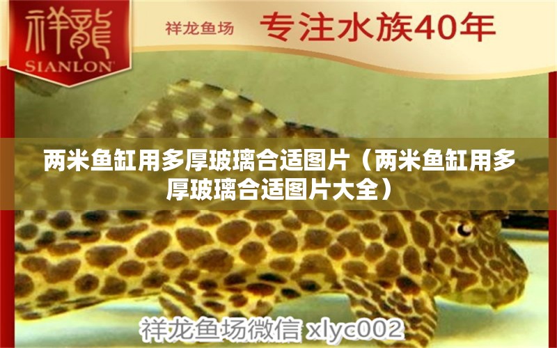 兩米魚缸用多厚玻璃合適圖片（兩米魚缸用多厚玻璃合適圖片大全）