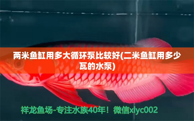 兩米魚(yú)缸用多大循環(huán)泵比較好(二米魚(yú)缸用多少瓦的水泵) 巴西亞魚(yú) 第1張