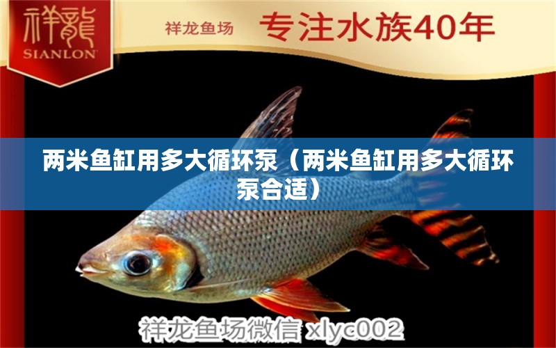 兩米魚缸用多大循環(huán)泵（兩米魚缸用多大循環(huán)泵合適）