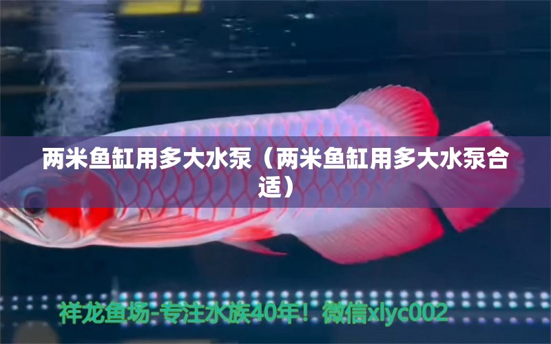 兩米魚缸用多大水泵（兩米魚缸用多大水泵合適）