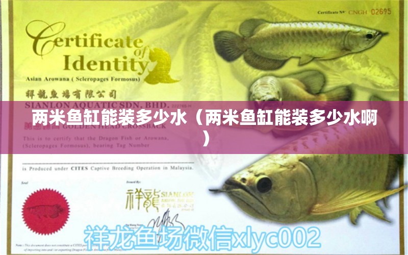 兩米魚缸能裝多少水（兩米魚缸能裝多少水?。? title=