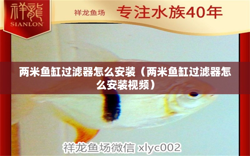 兩米魚缸過濾器怎么安裝（兩米魚缸過濾器怎么安裝視頻）