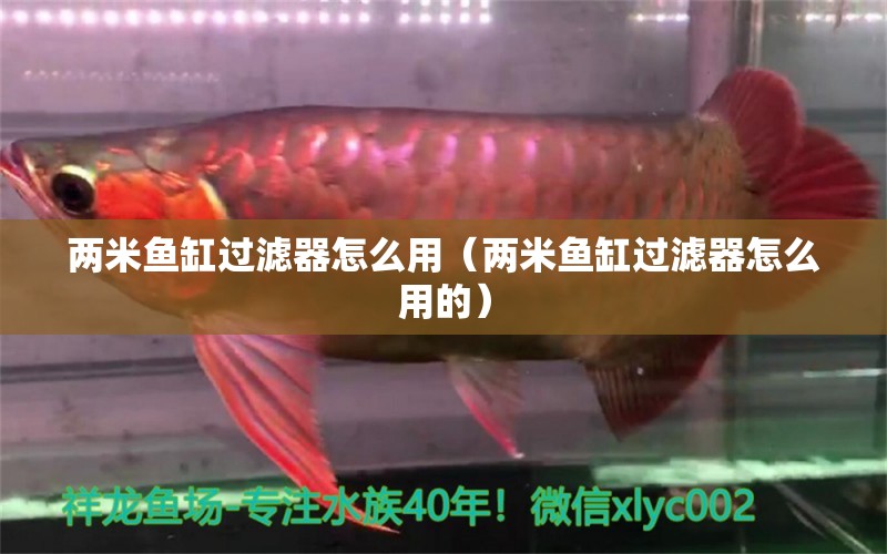 兩米魚缸過濾器怎么用（兩米魚缸過濾器怎么用的）