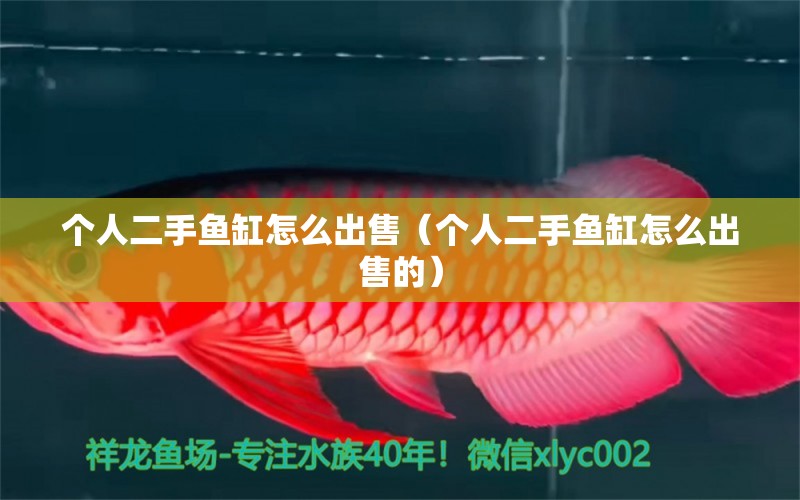 個(gè)人二手魚缸怎么出售（個(gè)人二手魚缸怎么出售的）