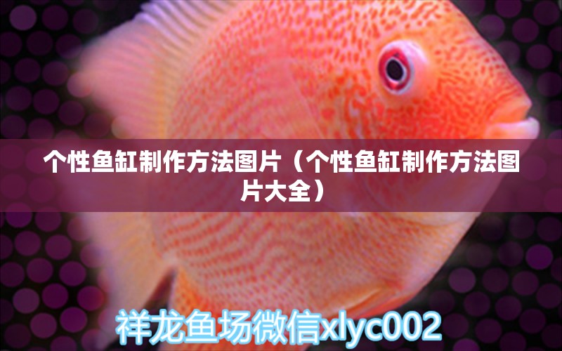 個(gè)性魚(yú)缸制作方法圖片（個(gè)性魚(yú)缸制作方法圖片大全）