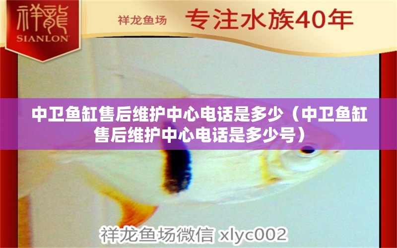 中衛(wèi)魚缸售后維護中心電話是多少（中衛(wèi)魚缸售后維護中心電話是多少號）