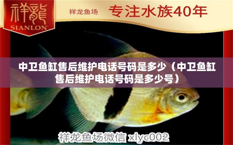 中衛(wèi)魚缸售后維護電話號碼是多少（中衛(wèi)魚缸售后維護電話號碼是多少號）