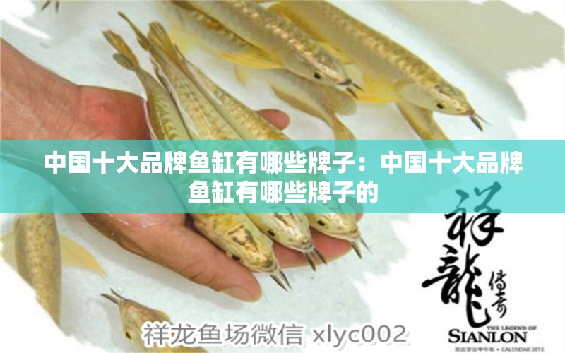 中國(guó)十大品牌魚缸有哪些牌子：中國(guó)十大品牌魚缸有哪些牌子的