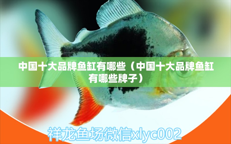 中國(guó)十大品牌魚(yú)缸有哪些（中國(guó)十大品牌魚(yú)缸有哪些牌子）