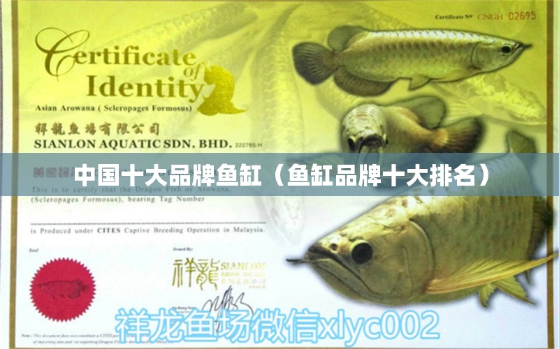 中國(guó)十大品牌魚缸（魚缸品牌十大排名） 其他品牌魚缸