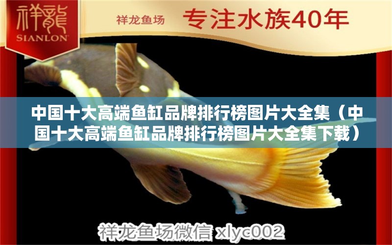 中國十大高端魚缸品牌排行榜圖片大全集（中國十大高端魚缸品牌排行榜圖片大全集下載）