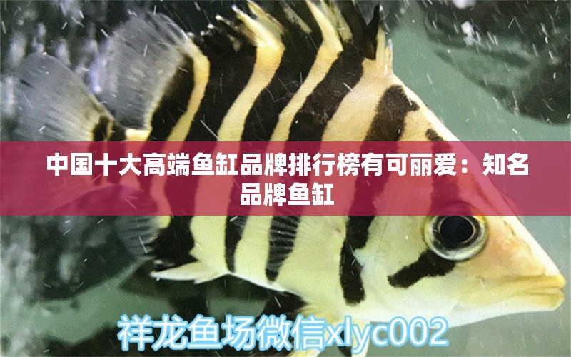 中國十大高端魚缸品牌排行榜有可麗愛：知名品牌魚缸