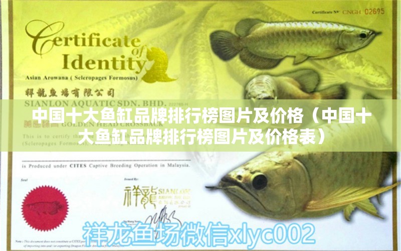 中國十大魚缸品牌排行榜圖片及價(jià)格（中國十大魚缸品牌排行榜圖片及價(jià)格表）