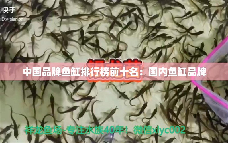 中國品牌魚缸排行榜前十名：國內(nèi)魚缸品牌 廣州龍魚批發(fā)市場