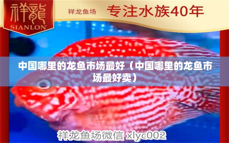 中國哪里的龍魚市場最好（中國哪里的龍魚市場最好賣）