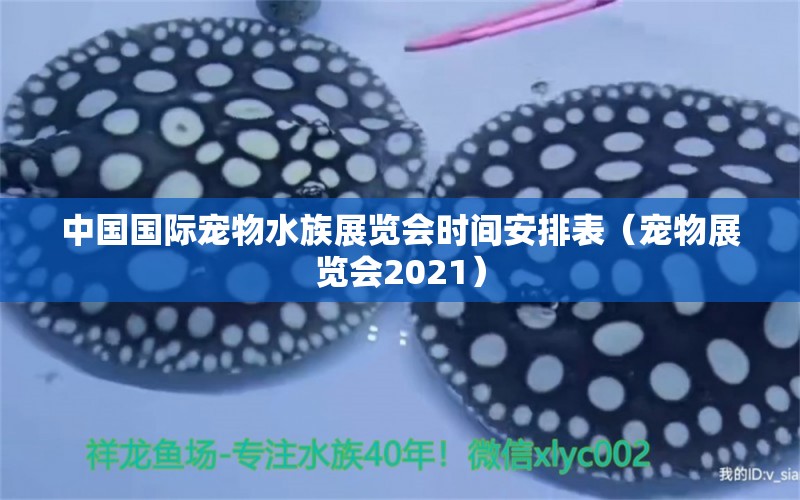 中國國際寵物水族展覽會時間安排表（寵物展覽會2021） 水族展會