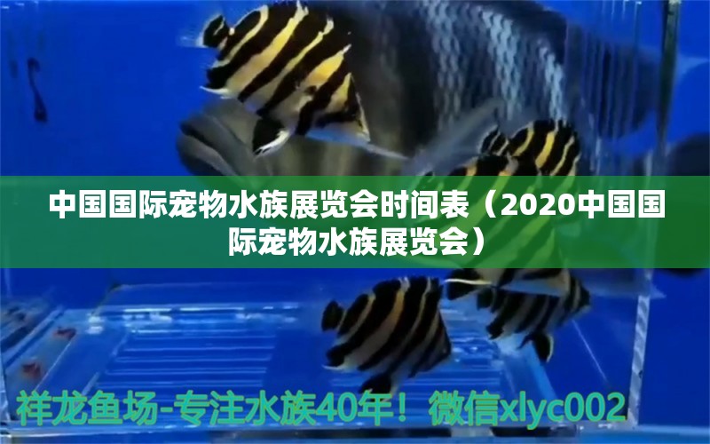 中國國際寵物水族展覽會時間表（2020中國國際寵物水族展覽會）