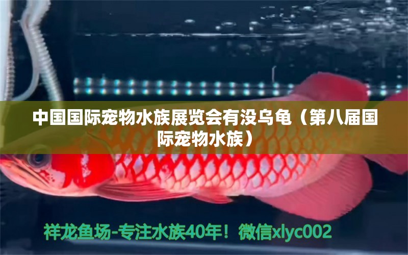 中國國際寵物水族展覽會有沒烏龜（第八屆國際寵物水族）