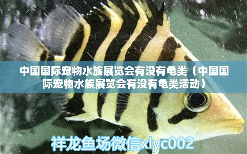 中國國際寵物水族展覽會有沒有龜類（中國國際寵物水族展覽會有沒有龜類活動） 烏龜