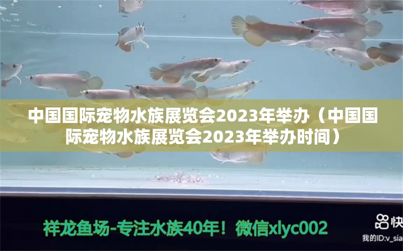 中國(guó)國(guó)際寵物水族展覽會(huì)2023年舉辦（中國(guó)國(guó)際寵物水族展覽會(huì)2023年舉辦時(shí)間）