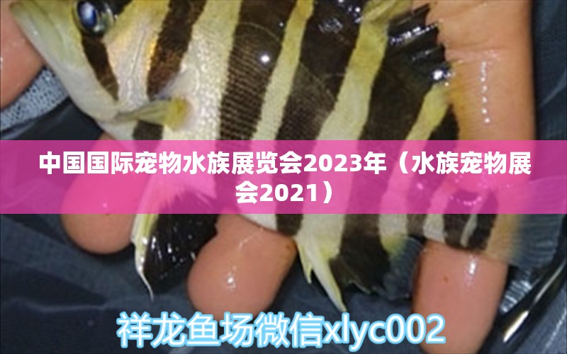 中國國際寵物水族展覽會2023年（水族寵物展會2021）