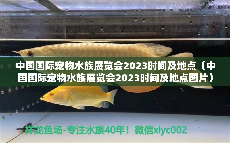 中國國際寵物水族展覽會2023時間及地點（中國國際寵物水族展覽會2023時間及地點圖片）