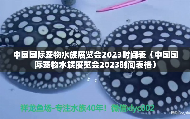 中國(guó)國(guó)際寵物水族展覽會(huì)2023時(shí)間表（中國(guó)國(guó)際寵物水族展覽會(huì)2023時(shí)間表格）