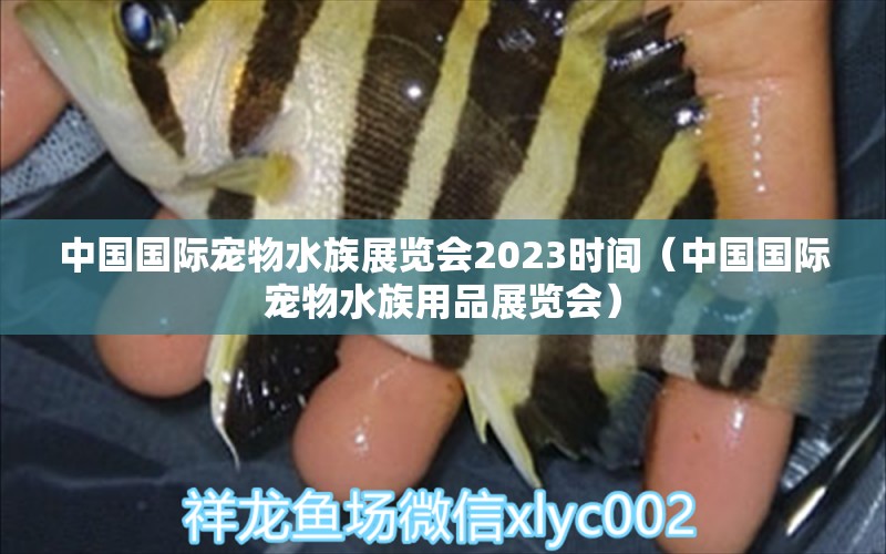 中國國際寵物水族展覽會2023時間（中國國際寵物水族用品展覽會）