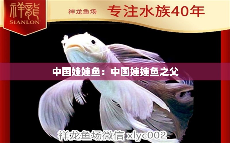 中國娃娃魚：中國娃娃魚之父 祥龍超血紅龍魚