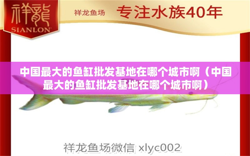 中國最大的魚缸批發(fā)基地在哪個城市?。ㄖ袊畲蟮聂~缸批發(fā)基地在哪個城市?。?生態(tài)瓶/創(chuàng)意缸/桌面微景缸