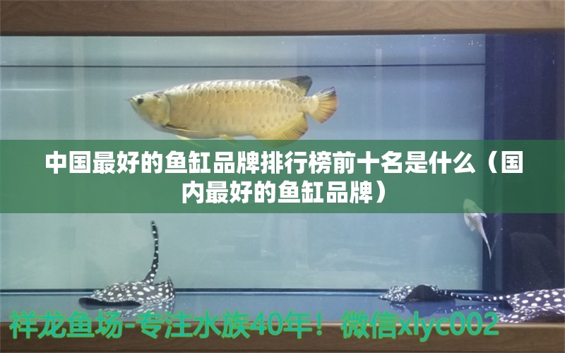 中國最好的魚缸品牌排行榜前十名是什么（國內(nèi)最好的魚缸品牌）