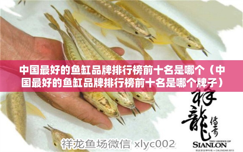 中國最好的魚缸品牌排行榜前十名是哪個（中國最好的魚缸品牌排行榜前十名是哪個牌子）